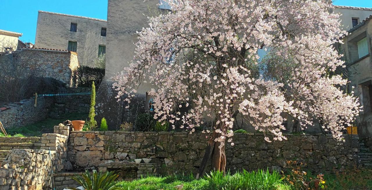 Maison Mon Reve Le Vigan  Extérieur photo